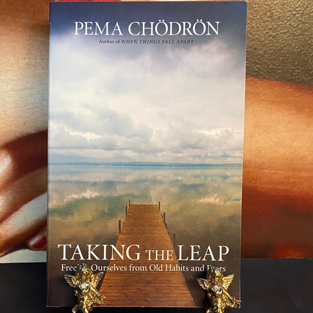 3📚/$25 Book -Taking the Leap Freeing Yourself from Old Habits by Pema Chodron